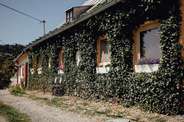 Domček na Staromestskej