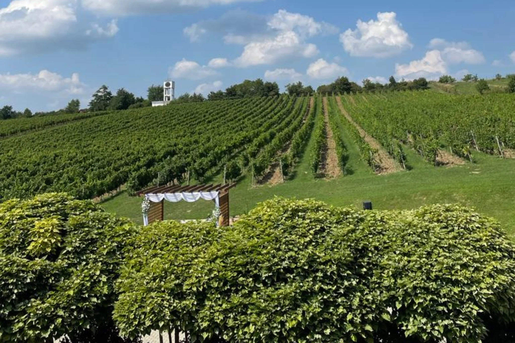 Pivnica Radošina